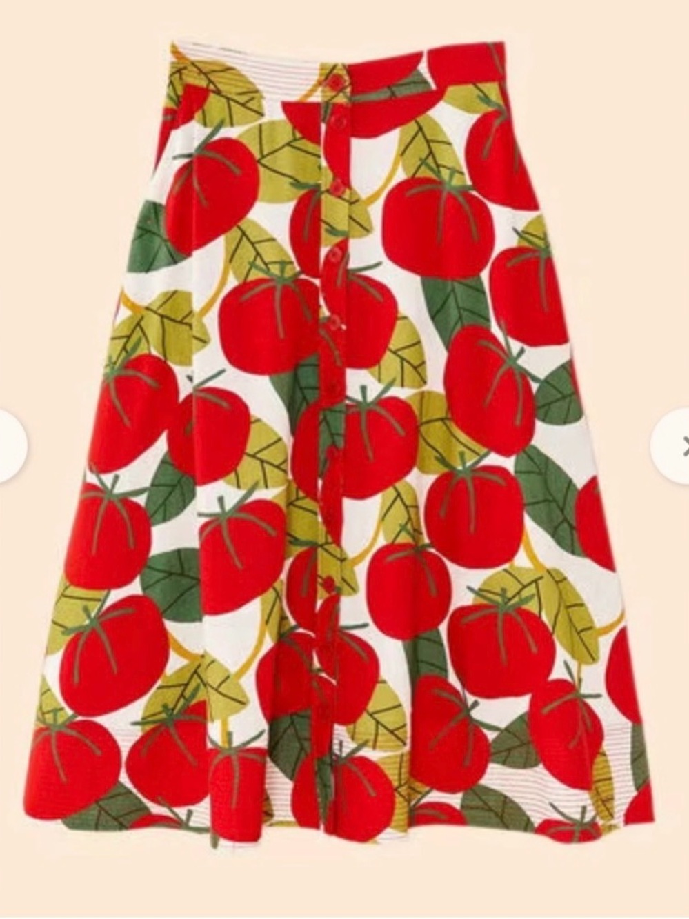 NOT SELLING In search of (ISO) FARM Rio Tomato Print Skirt Sz M or S - Picture 1 of 1